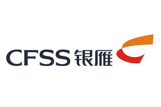 金融外包服務 看準網(wǎng)上的機遇與風險分析